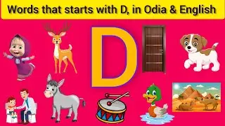 ABC alphabet//Words that starts with D in English and odia//Learn 10 words of D//D for 10words