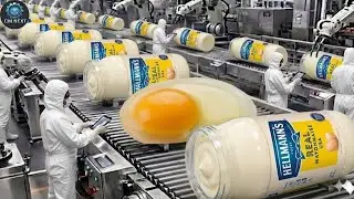 From Raw Ingredients To Final Product: How Mayonnaise Is Made