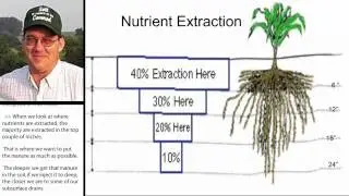 Using Cover Crops to Tie Up Manure to Prevent Losses
