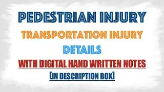 Pedestrian Injury in Transportation injury :: forensic medicine