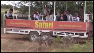 Safari Ostrich Farm