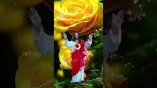 #deixa jesus mora em voc&ecirc; 🙏🙏🙏🙏🙏🙏🫵🫵🕊️🕊️🕊️🌹🌹🌹🌠🌠🌠🌹🌹🌹🌹🌹