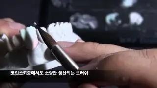 mpf brush