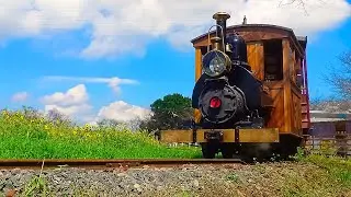 【SL】蒸気機関車が2種類（石炭・灯油）運行！4K映像【貴重なSL交代シーンもあり】