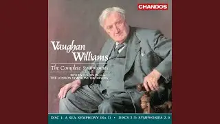 Symphony No. 9 in E Minor: I. Moderato maestoso