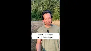 Intuition or Just Body Language - The Light Seer