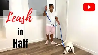 Leash In Half - Multi Function Dog Leash