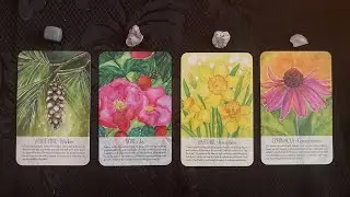 ❄️🍁 A YEAR OF DIVINE LOVE REVEALED 🌺☀️  | Pick A Card Tarot Reading | Timeless Reading