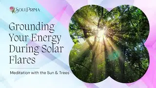 Grounding Your Energy During Solar Flares - Meditation with the Sun & Trees