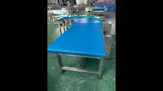 Maxsen curved belt conveyor testing video