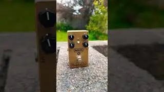 mxr custom badass overdrive #pedal #mxrpedals #overdrive #guitar