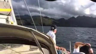 SailCork Sunshine Sailing!