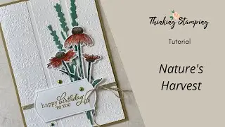 Учебное пособие | Nature's Harvest