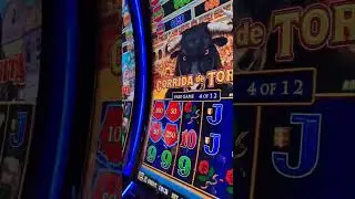 corrida de toros lightning link how to win at slots