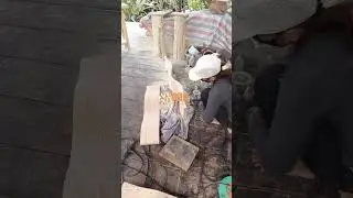 Floating Wall Shelf Solid Wood Live Edge Tree Branch Design