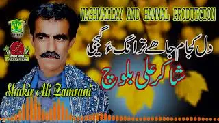 New Balochi Song | DIL KUJAM JAHE TRANAGA | SHAKIR ALI ZAMRANI  / HammalProductions