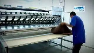 Audaces Enfestadeira e Neocut