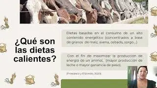 Dietas calientes en rumiantes
