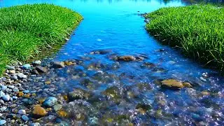 Nature Healing Music 🌿 Deep Sleep Recovery, Water Sounds, Stress Relief & Heal The Soul