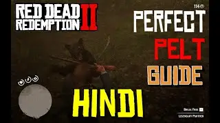 RDR2 Perfect Pelt Guide 🐾 | Hunting Tips in Hindi | Red Dead Redemption 2