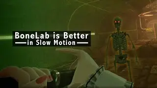 Anime Honkers in Slow Motion... - habie147 live archive
