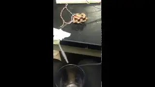 Bubble Detection Test 1