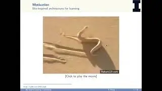 Bio inspired Learning of Sensorimotor Control for Locomotion