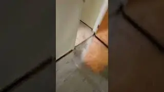 Menard's Monroe Park laminate flooring DIY