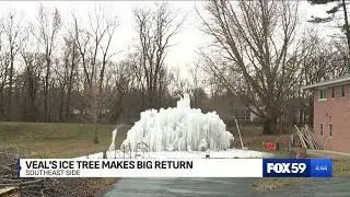Famed Veal’s Ice Tree finally begins to take shape