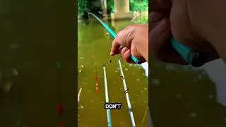 New fish catching most fishing nature videos in river #fishing #shorts