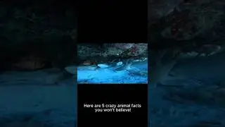 5 Crazy Animal Facts You Won&rsquo;t Believe! #animals #facts #curiosity #wild #animal