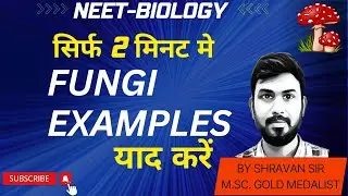 Short tricks for FUNGI Examples | NEET BIOLOGY |Phycomycetes Ascomycetes| Basidio and Deuteromycetes