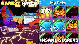 I Hatched The SHADOW EGG For 2 Days With 2X LUCK & Hatched MY RAREST PET in BGSI...