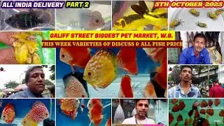 Galiff St. Cheapest Aquarium Fish Market Kolkata|गालिफ़ स्ट्रीट सस्ती एक्वेरियम मछली मार्केट |5/10/25