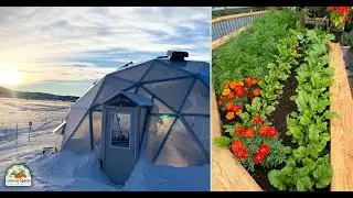 Grow Your Own Food All Year!