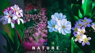 Creative Flower Photography photo Editing in Lightroom Mobile Presets DNG & XMP Download | Lr preset