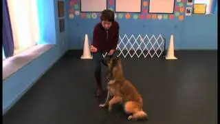 Learn How to Teach the Wait Command