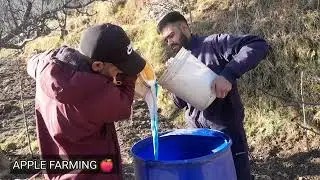 बोडो मिक्सचर की स्प्रे कैसे करें ? और इसके फायदे #नीला थोथा और चूने की स्प्रे #bordomixture #apple