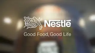Стажер по управлению Nestl&eacute; &ndash; корпоративный