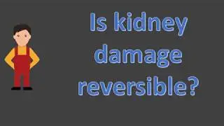Is kidney damage reversible ?
