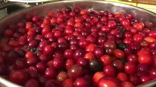 Cranberry Tea Recipe