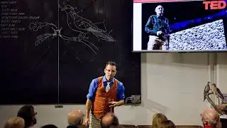 The Next Flight of the Passenger Pigeon: Engineering Nature's Engineers | Ben Novak