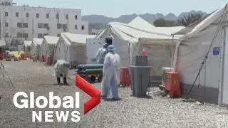 War zone vaccination workers face dangerous job