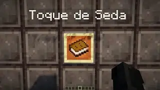 Libro de TOQUE de SEDA en MINECRAFT