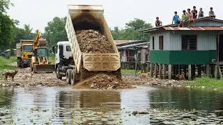 Start of a 100% complete pond filling project, with up to 5 tons of earthmoving 