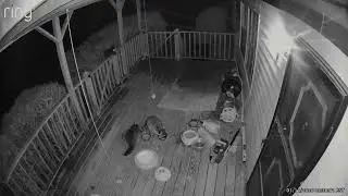 Scavengers