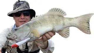 Fishing and Camping Far North Queensland #fishing #camping
