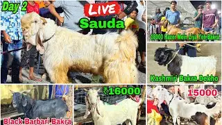 Deonar Bakra Mandi Day 2 Night Latest Update 7 June 2024 | 18000 Hazer Mein Bakra Mile Gaya Finally
