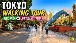 Tokyo Walking Tour | Ueno Park to Uguisudani Station in 4K