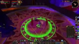 Trying to kill the leader NPC (Lor'themar Theron i think) in silvermoon :D